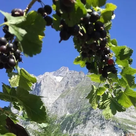 An Ruhiger Lage Mit Schoener Bergsicht Daire