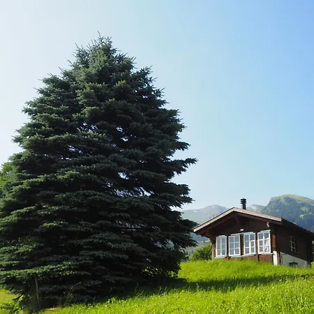 An Ruhiger Lage Mit Schoener Bergsicht Grindelwald
